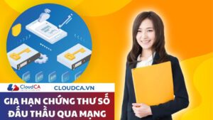 Gia hạn chứng thư số đấu thầu