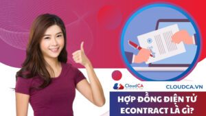 Hợp đồng điện tử Econtract là gì?