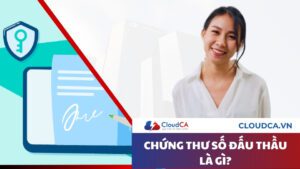 Chứng thư số đấu thầu là gì?