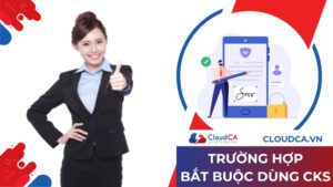 Những trường hợp bắt buộc sử dụng chữ ký số