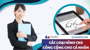 Các loại hình chữ ký số công cộng dành cho cá nhân