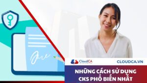 Những cách sử dụng chữ ký số
