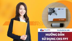Hướng dẫn sử dụng chữ ký số FPT