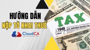 Hướng dẫn nộp tờ khai trên trang thuế điện tử