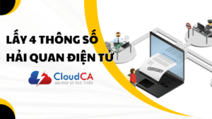 Hướng dẫn lấy 4 thông số khai báo Hải Quan Điện Tử