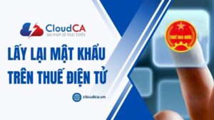 Lấy lại mật khẩu thuedientu.gdt.gov.vn