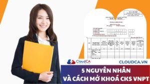 5 nguyên nhân và cách mở khoá chữ ký số VNPT