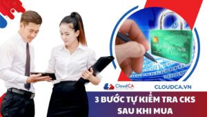 3 bước tự kiểm tra chữ ký số sau khi mua