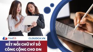 Chữ ký số công cộng cho doanh nghiệp